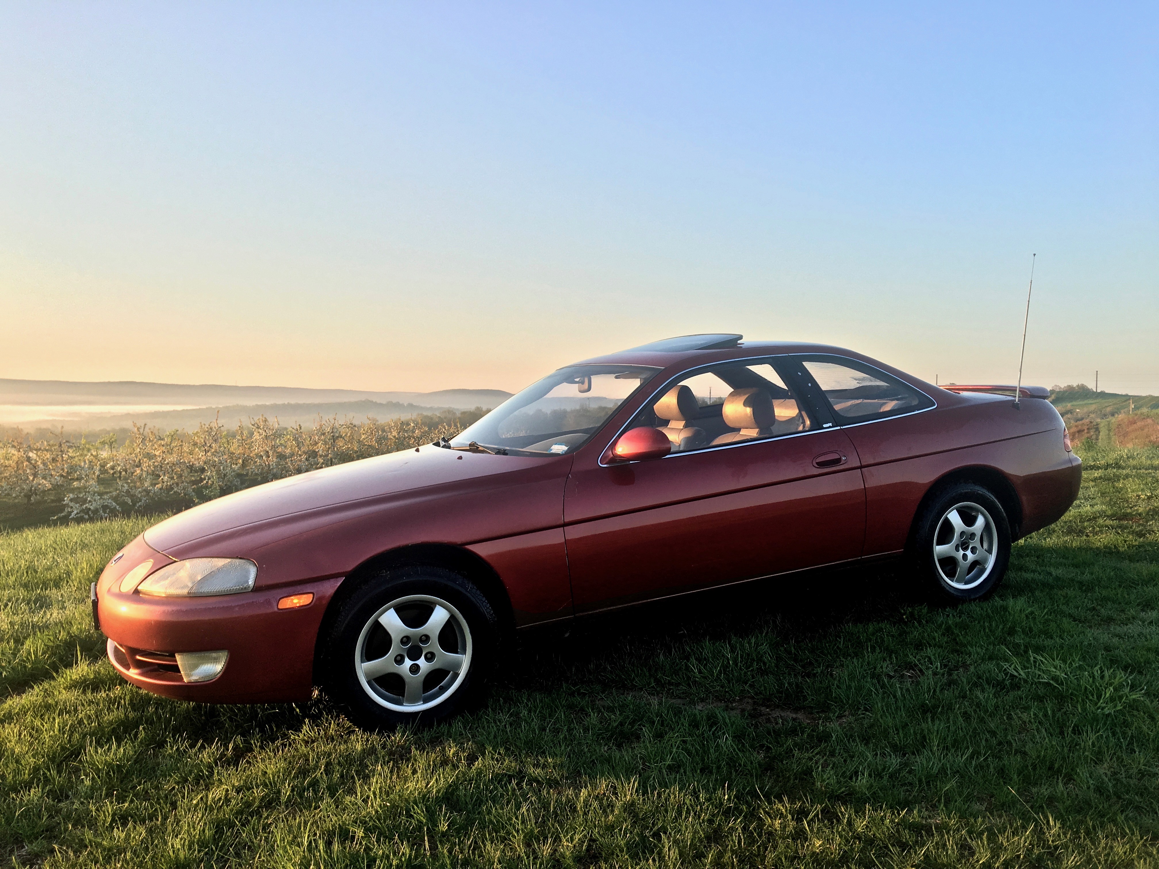 1993 Lexus SC 300 – Supra-Platform 2JZ GT Coupe, Refined Rear-Drive Lexus Classic — photo 6